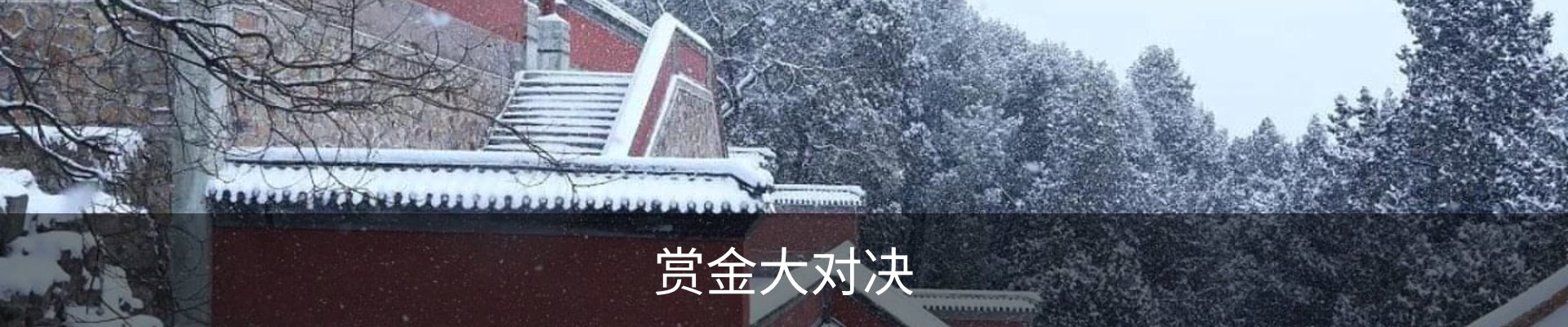 赏金大对决